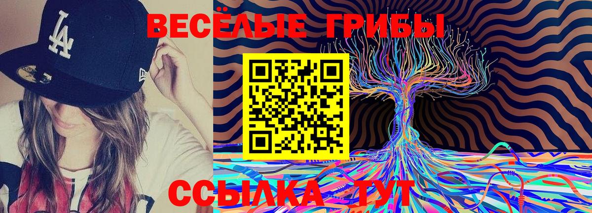Галлюциногенные грибы Magic Shrooms Киселёвск