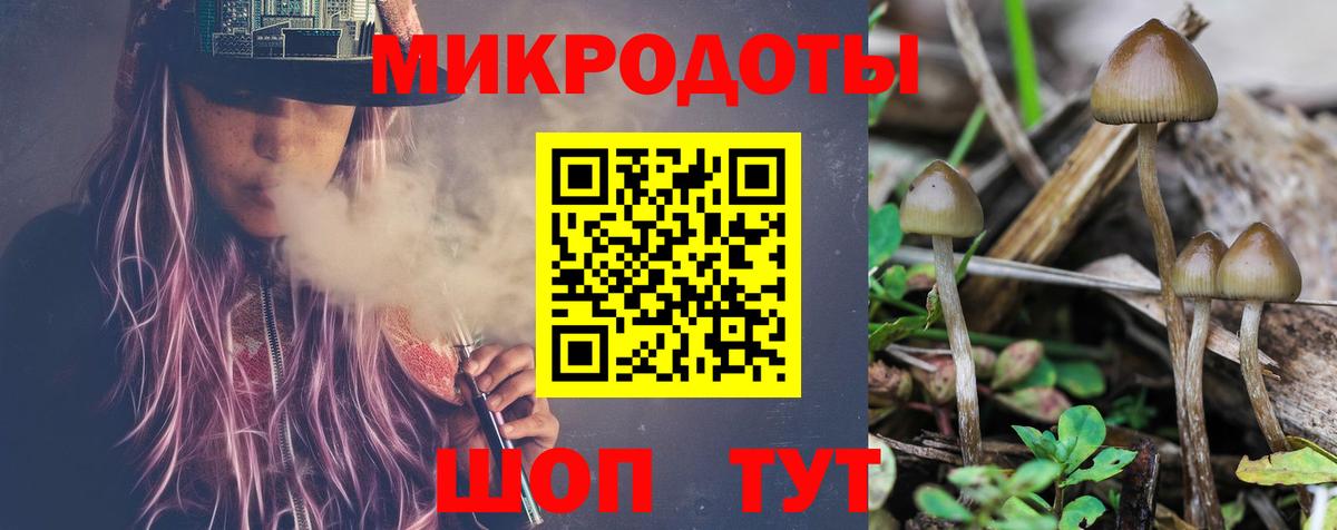 Псилоцибиновые грибы мицелий  Вход с VPN  Киселёвск  Галлюциногенные грибы Cubensis 